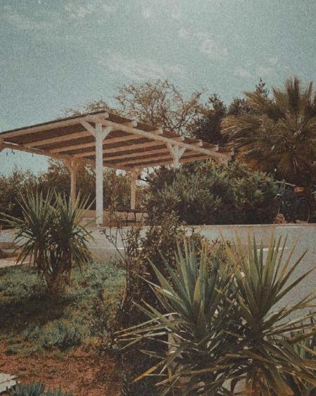 הוילה פורטו הלי Olive Grove Soulis Family Estate מראה חיצוני תמונה